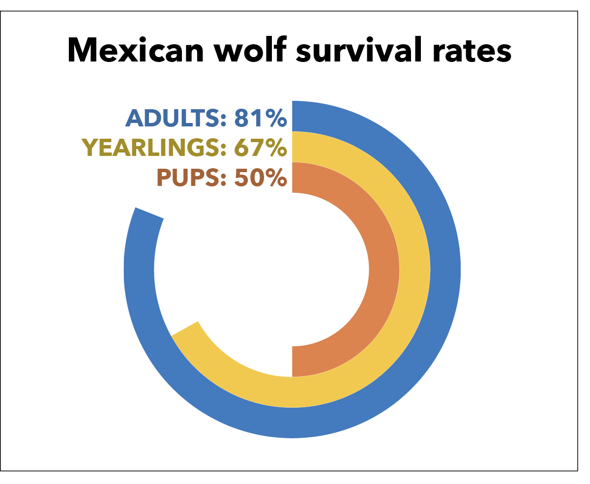 Mexican wolf survival rates by developmental stage FWS.gov